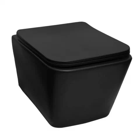 Set vas WC suspendat Fluminia Paris rimless, cu capac soft close 52.5x36.5x29.5 cm