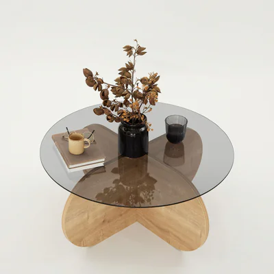 Masuta de cafea, Hanah Home, Bubble, 75x35x75 cm, Stejar / Fume